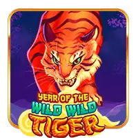 Year Of The Wild Wild Tiger
